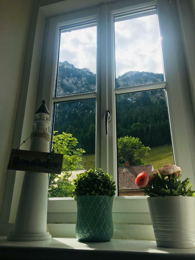 Alpenaquarium Grueblsee - Fewo Elfi Vordernberg Bagian luar foto